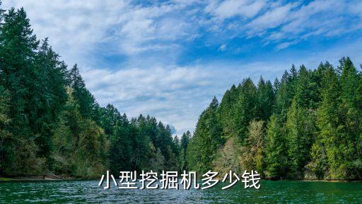小型挖掘机多少钱