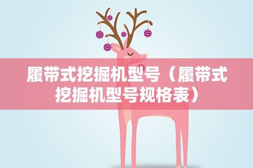 履带式挖掘机型号（履带式挖掘机型号规格表）
