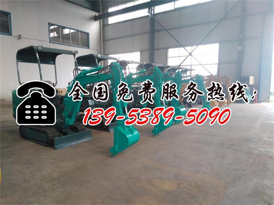 小型挖掘机品牌_小型挖掘机的品牌_挖掘小型机品牌排行